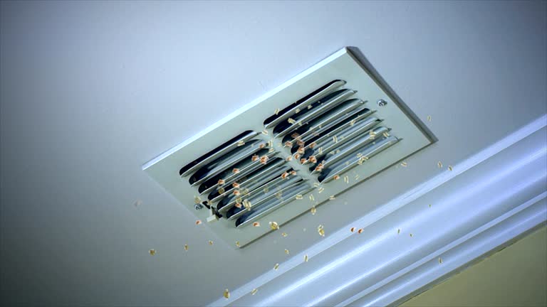 Best Ventilation Cleaning Services  in Wmington, IL